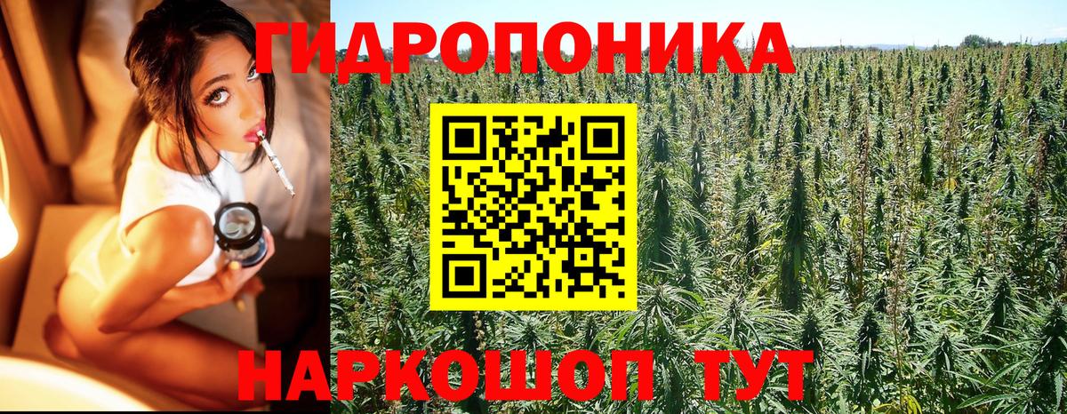 Бошки марихуана Amnesia Ноябрьск